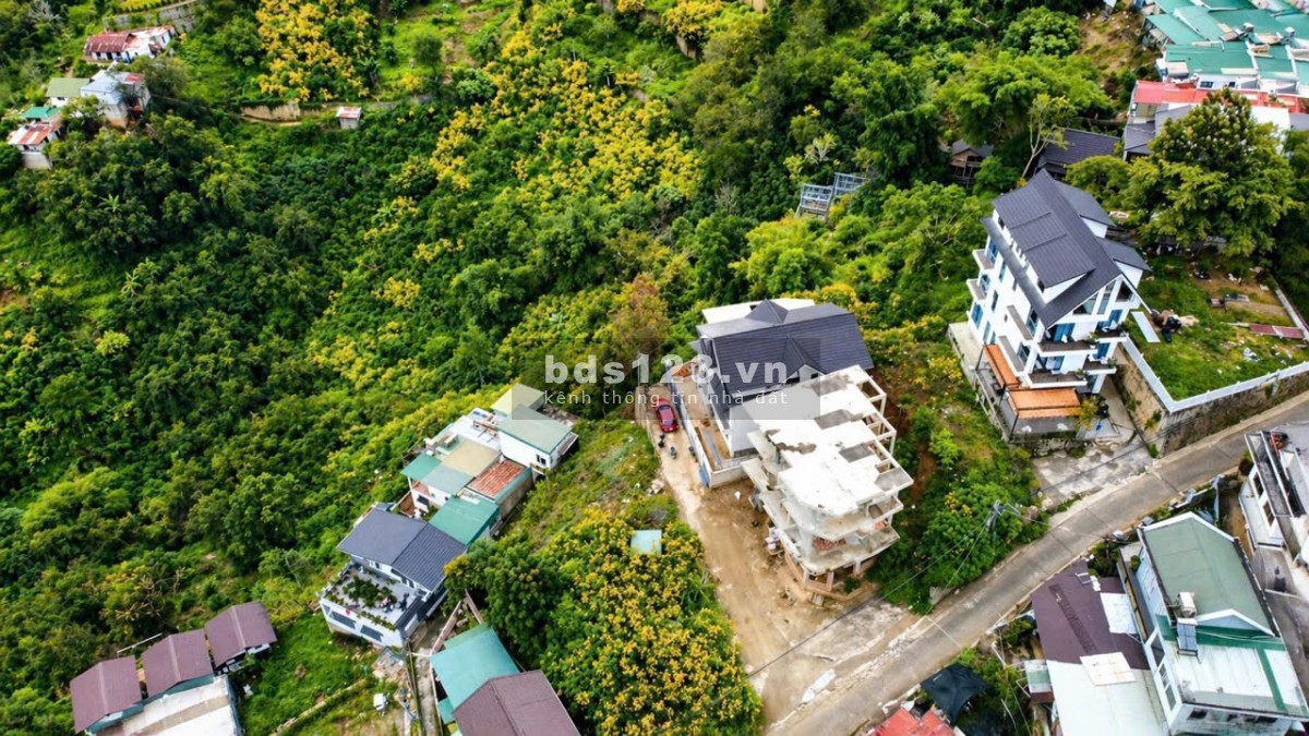 Nền biệt thự view thông vĩnh viễn , săn mây ngày và đêm…