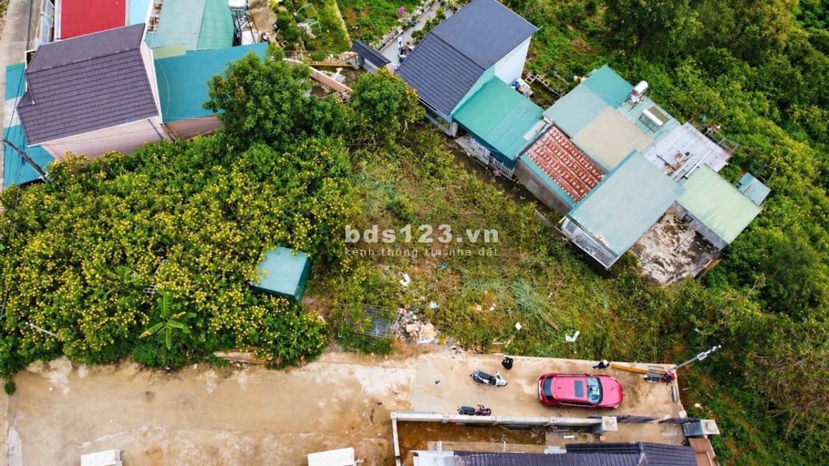 Nền biệt thự view thông vĩnh viễn , săn mây ngày và đêm…