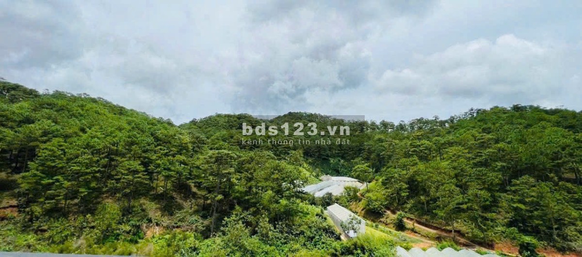 Nền biệt thự view thông vĩnh viễn , săn mây ngày và đêm…