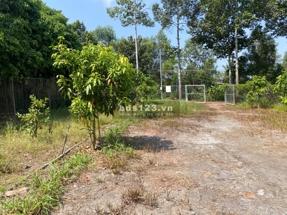 Đất nghỉ dưỡng – kinh doanh dịch vụ – homestay Trị An Đồng Nai – 6000m2 – phân lô tách thửa