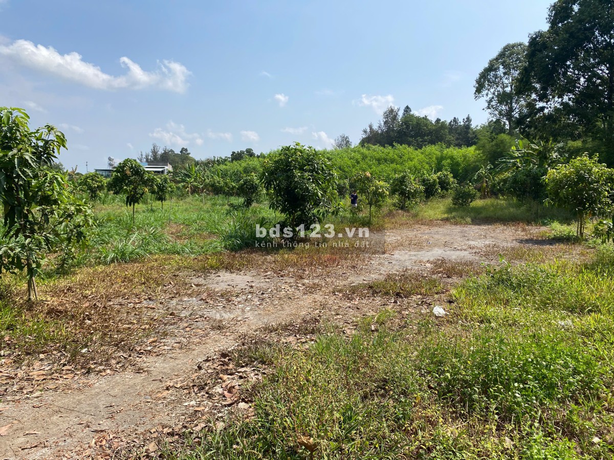 Đất nghỉ dưỡng – kinh doanh dịch vụ – homestay Trị An Đồng Nai – 6000m2 – phân lô tách thửa