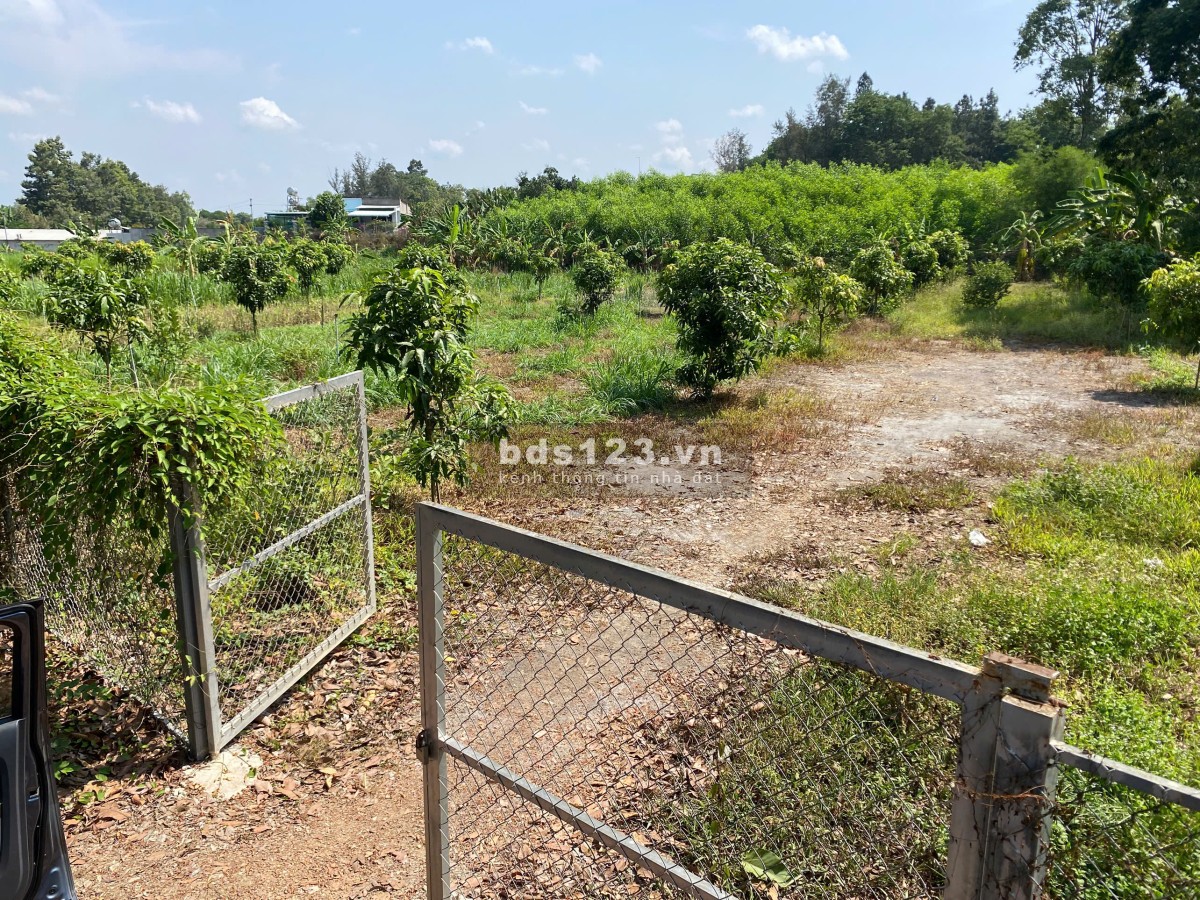 Đất nghỉ dưỡng – kinh doanh dịch vụ – homestay Trị An Đồng Nai – 6000m2 – phân lô tách thửa