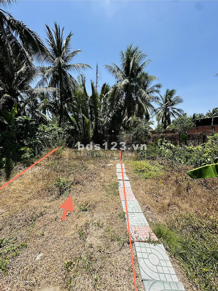 Bán đất đẹp 428m² có thổ cư – sổ riêng – MT 5.5m – gần QL60, Song Lộc, Trà Vinh