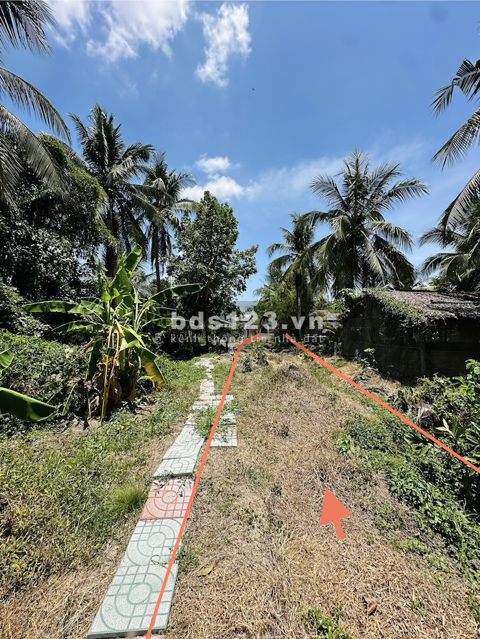 Bán đất đẹp 428m² có thổ cư – sổ riêng – MT 5.5m – gần QL60, Song Lộc, Trà Vinh