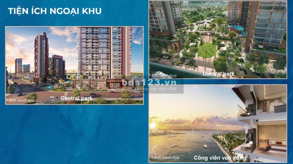 Nhận chọn căn ngoại giao dự án Symphony 5 view pháo hoa trực…