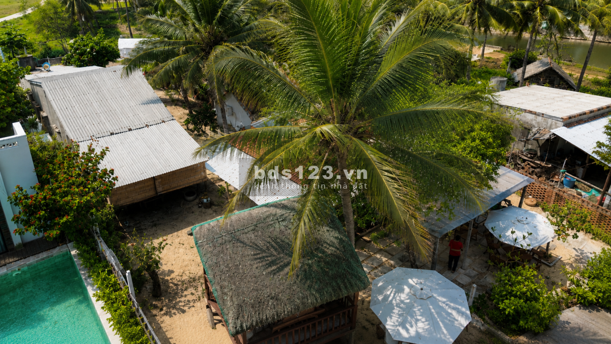 Bán đất mặt biển sát Gành Đá Đĩa 247m² - 100m2 thổ cư, giá 12,1 tỷ