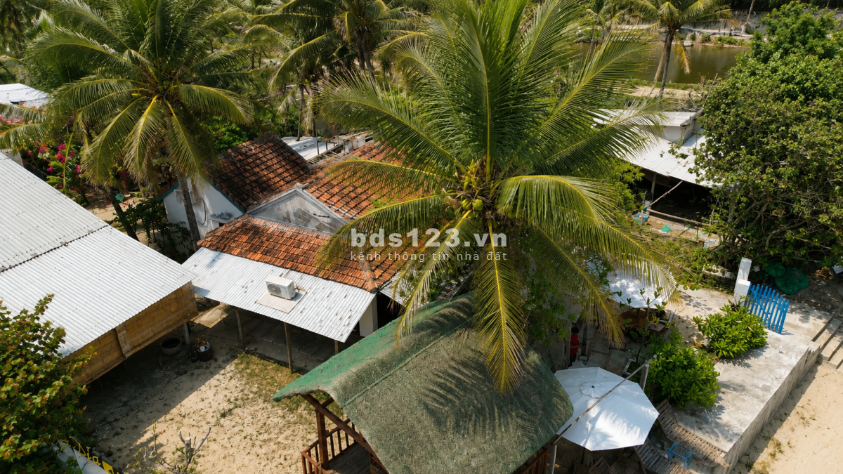Bán đất mặt biển sát Gành Đá Đĩa 247m² - 100m2 thổ cư, giá 12,1 tỷ