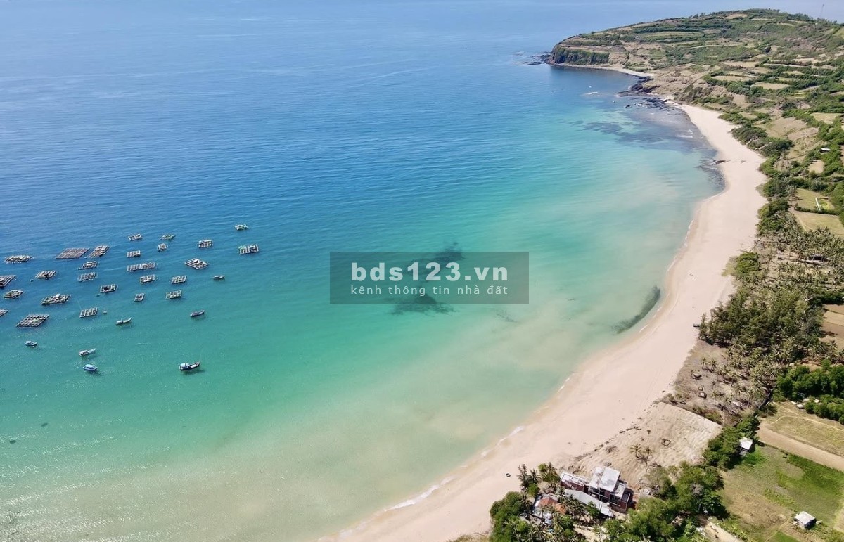 Bán đất mặt biển sát Gành Đá Đĩa 247m² - 100m2 thổ cư, giá 12,1 tỷ