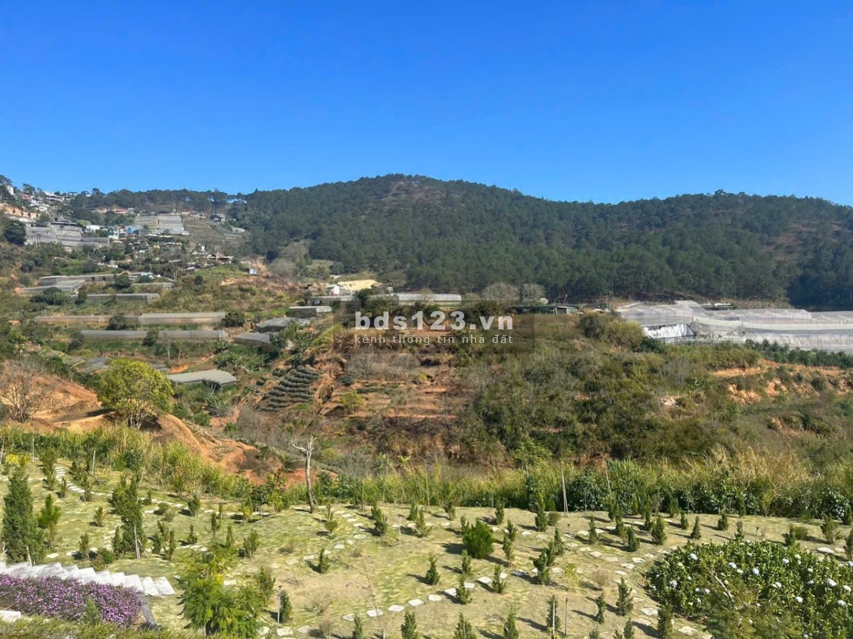 Bán gần 4000m đất view đẹp tại Hùng Vương Giáp rừng thông…