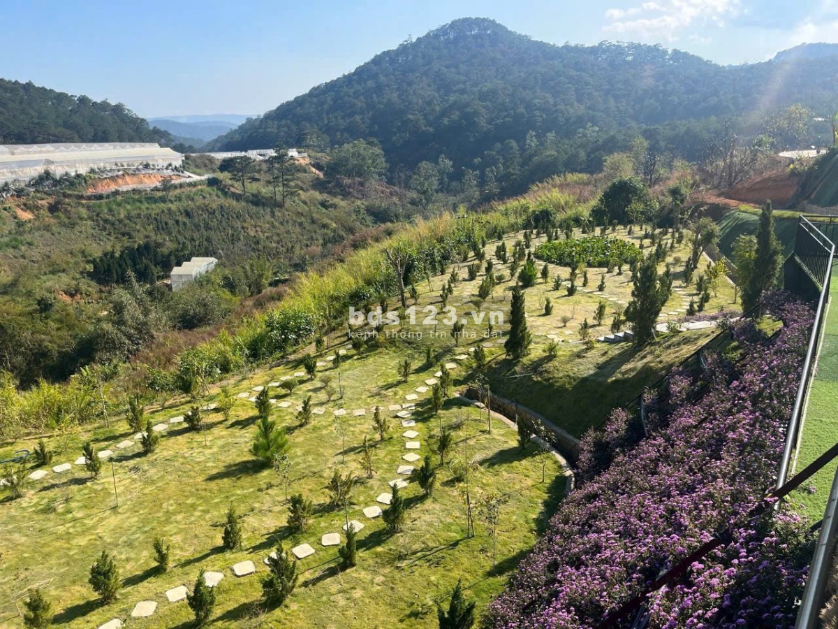 Bán gần 4000m đất view đẹp tại Hùng Vương Giáp rừng thông…