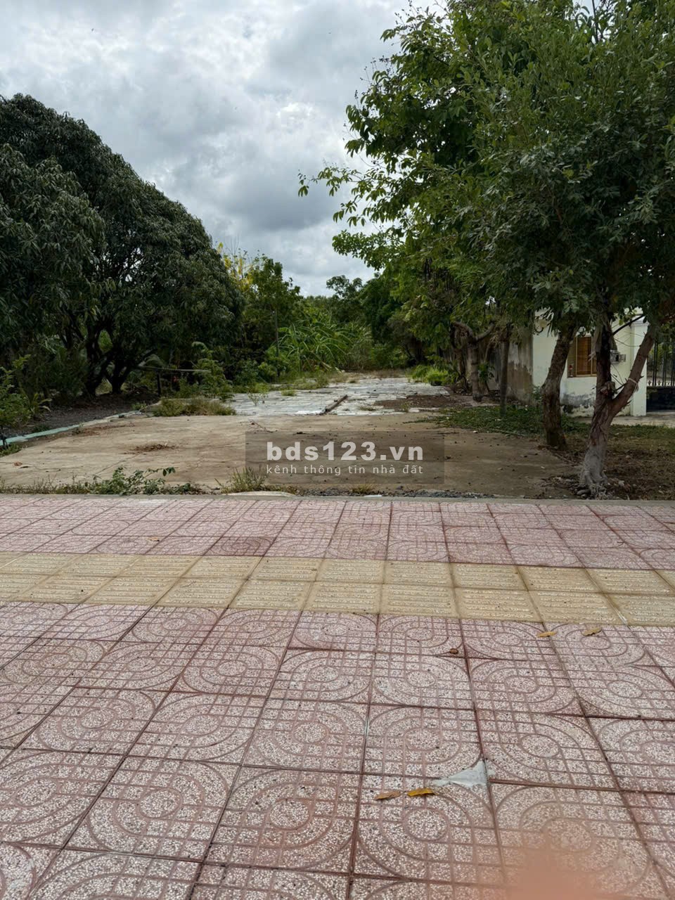  ĐẤT THỔ CƯ MẶT TIỀN LÝ NHƠN – CẦN GIỜ 