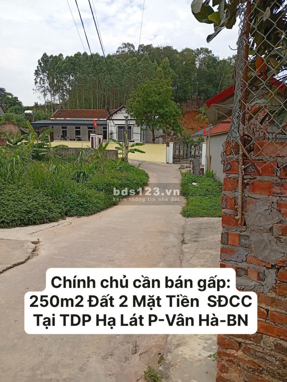 Chính chủ Cần Bán Gấp Đất 2 Mặt Tiền 250m² – Chia 2 Lô Đẹp, Đầu Tư Sinh Lời Cao