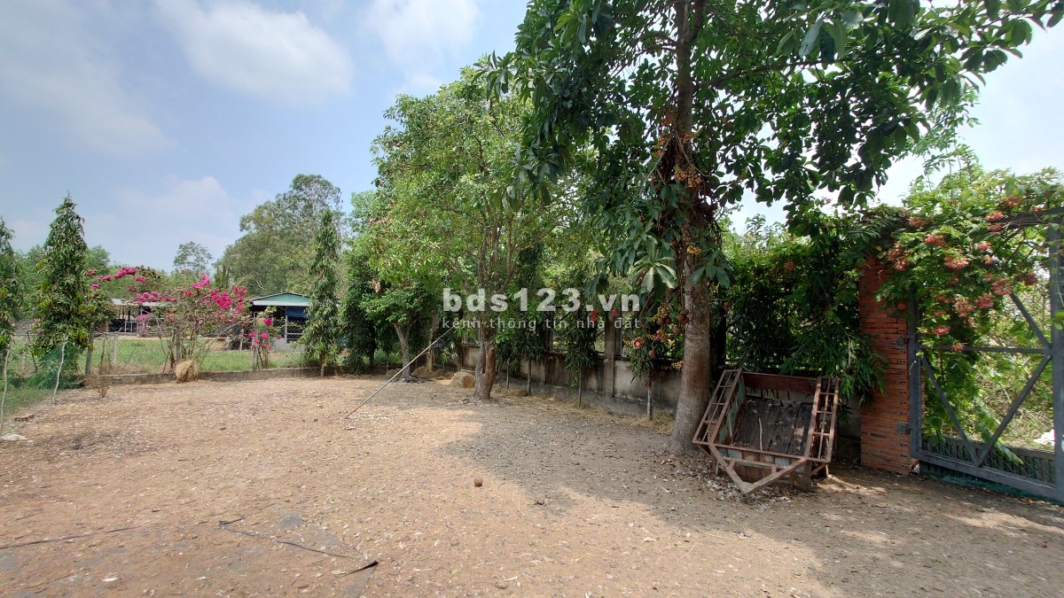 Chính Chủ Bán Gấp Lô Đất Đẹp 1700m2 Đường Trung Lập,…