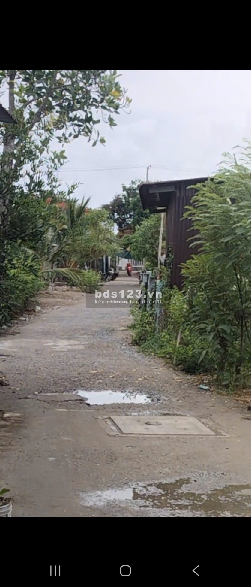 Đất Thổ Cư khu dân cư Lý Nhơn Cần Bán