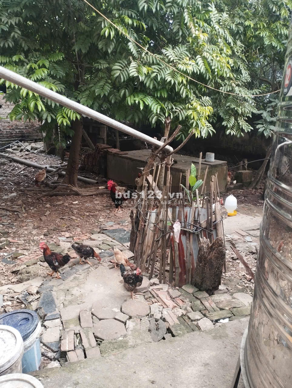 Bán 48m đất xen kẹt siêu đẹp xã Đại Thanh, ngõ rộng, vị…