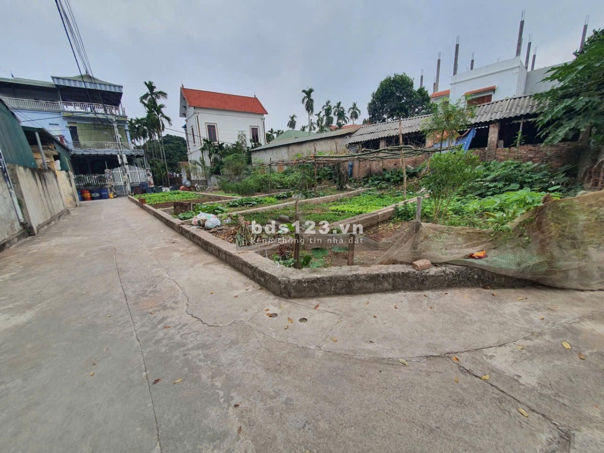 Bán 48m đất xen kẹt siêu đẹp xã Đại Thanh, ngõ rộng, vị…