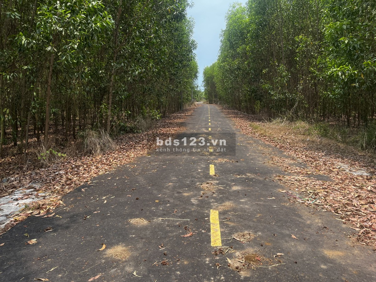 10.600m2 Láng Dài - Mặt Tiền Nhựa Rộng Thênh Thang - Giá Đầu Tư Cực Tốt