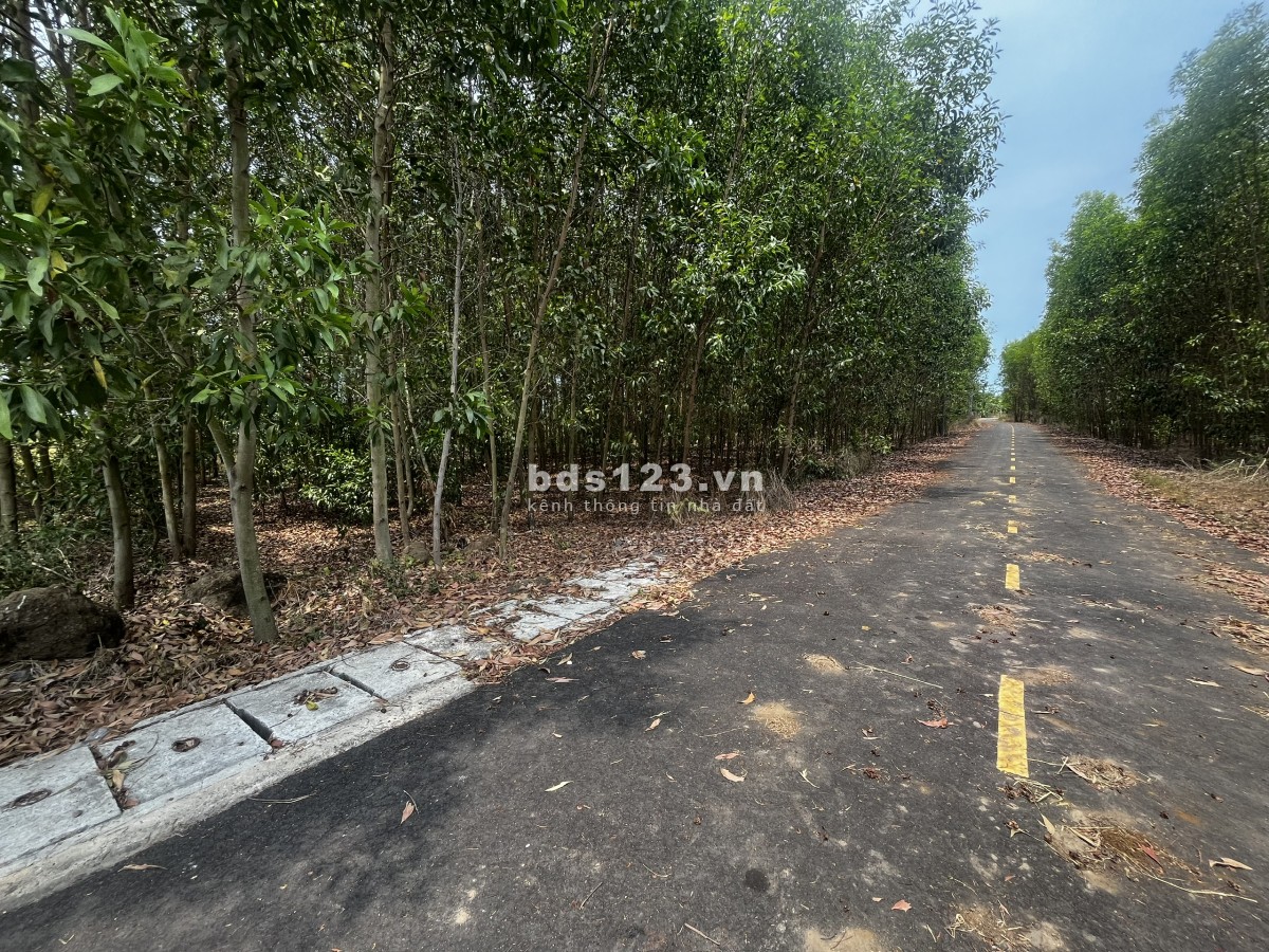 10.600m2 Láng Dài - Mặt Tiền Nhựa Rộng Thênh Thang - Giá Đầu Tư Cực Tốt