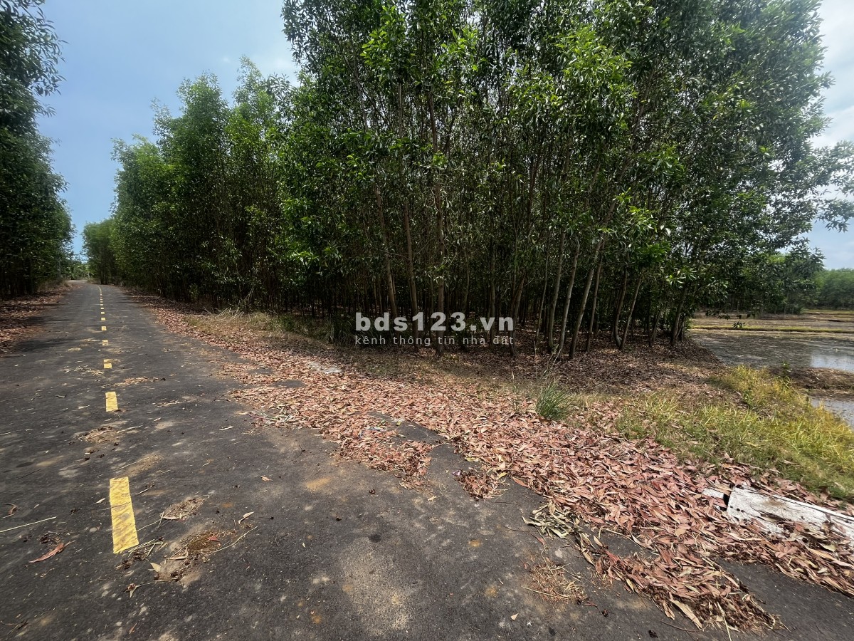 10.600m2 Láng Dài - Mặt Tiền Nhựa Rộng Thênh Thang - Giá Đầu Tư Cực Tốt
