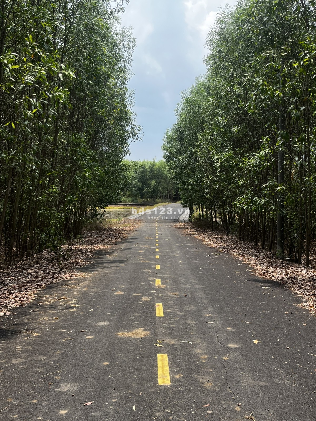 10.600m2 Láng Dài - Mặt Tiền Nhựa Rộng Thênh Thang - Giá Đầu Tư Cực Tốt