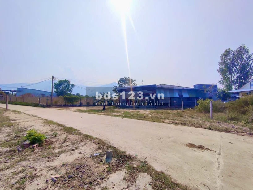 CHỦ CẦN BÁN ĐỂ ĐÓNG HỌC PHÍ CHO CON HỌC ĐH LÔ ĐẤT ĐẸP…