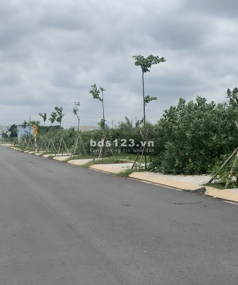 Bán gấp đất dự án Đại Học Quốc Gia 245 – lô đẹp 9x21m…