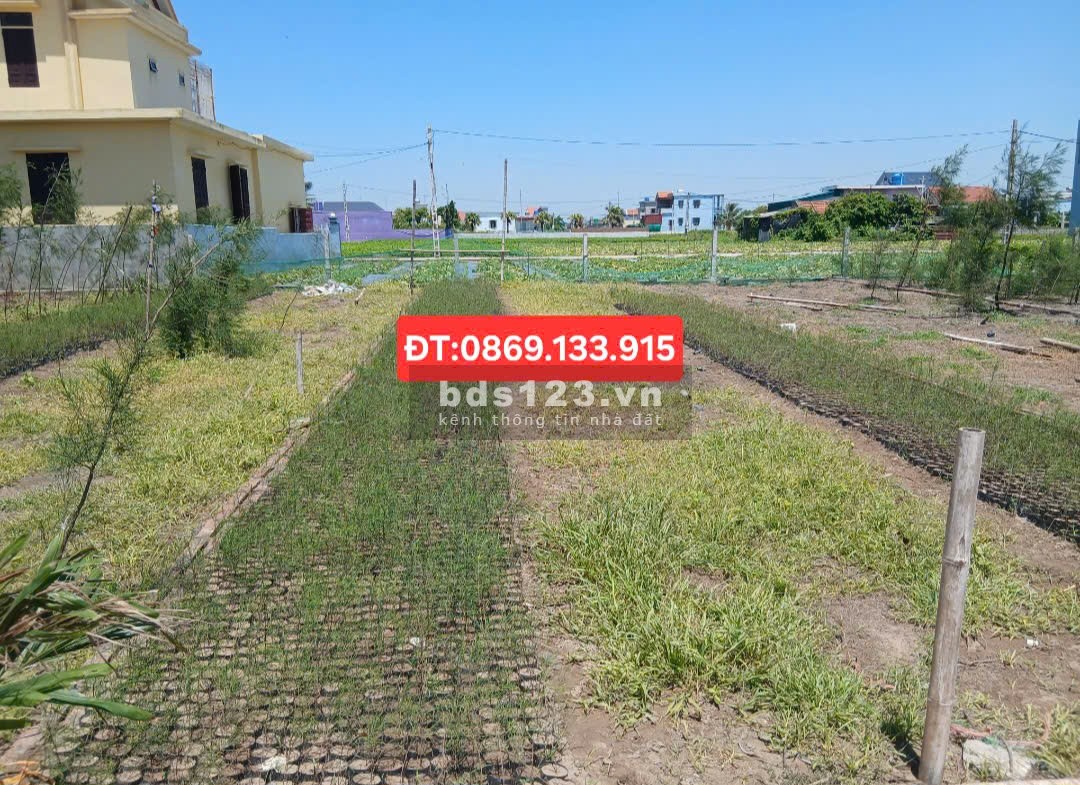 3 Lô liền kề đất biển QUẤT LÂM – NAM ĐỊNH: Sát biển,…