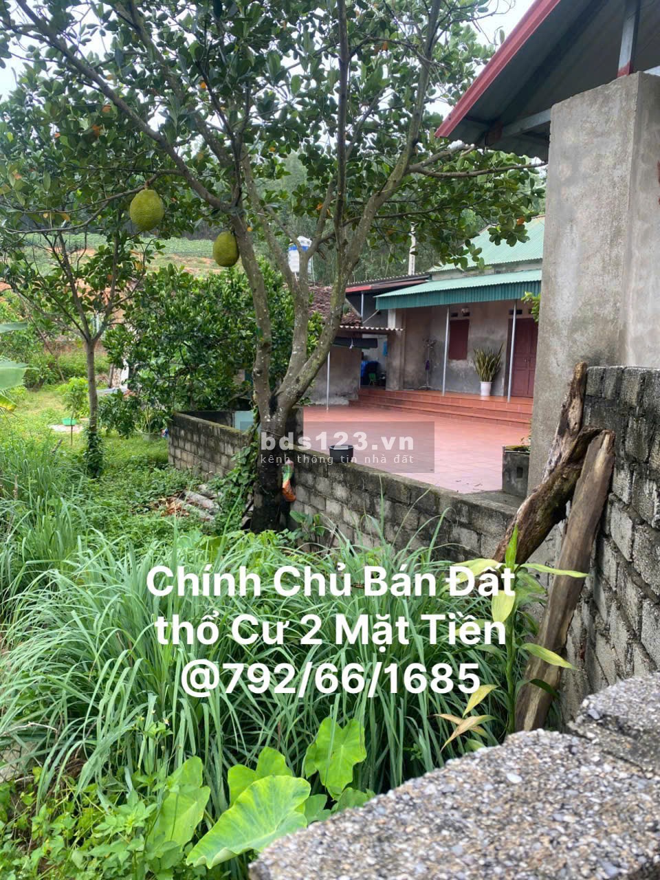 Chính Chủ Bán Gấp 250m2 Đất SĐCC tại Hạ Lát Tiên Sơn Việt Yên Bắc Giang. Giá Bán Cực Rẻ.