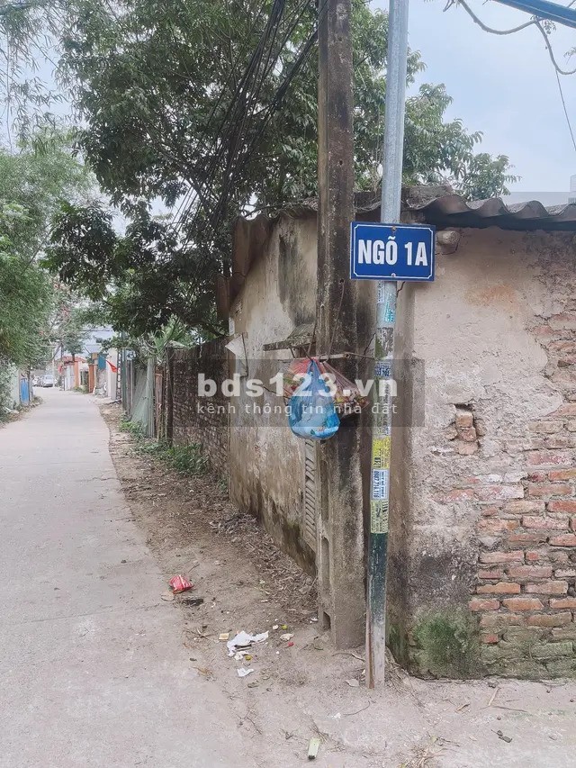 NHÀ MỚI KÍNH KOONG – ĐÓN CHỦ MỚI