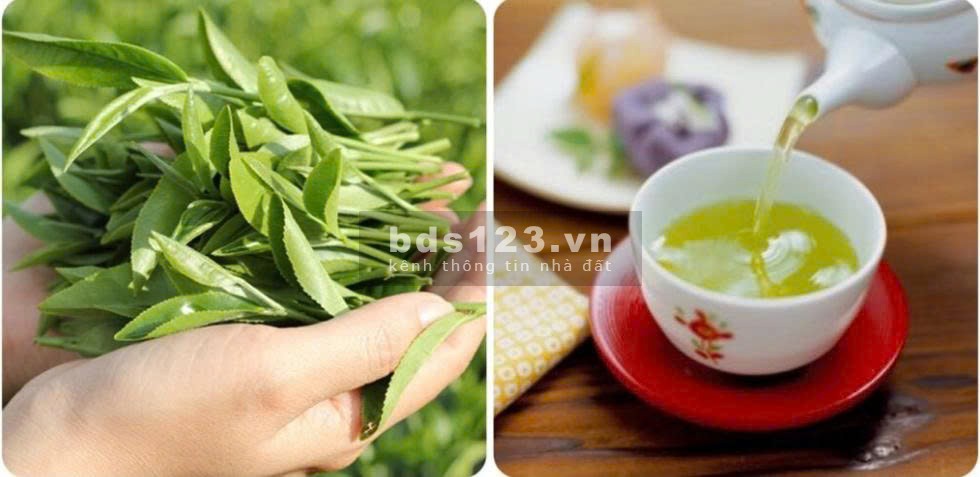 HOMESTAY MÙA THU HÀ NỘI – CHO THUÊ PHÒNG TẠI TRƯỜNG CHINH GẦN…