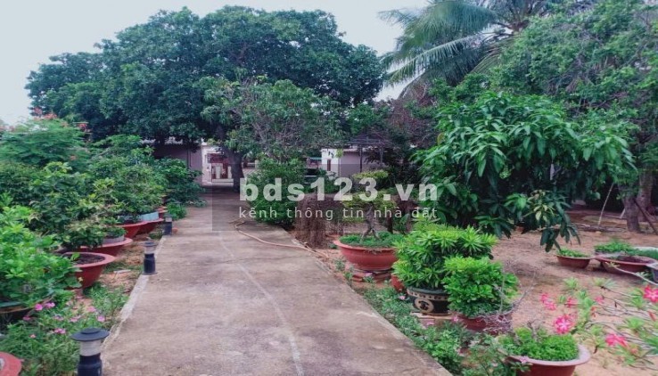 XUẤT CẢNH NƯỚC NGOÀI NÊN CẦN BÁN LÔ ĐẤT CÓ SẴN KHÁCH…