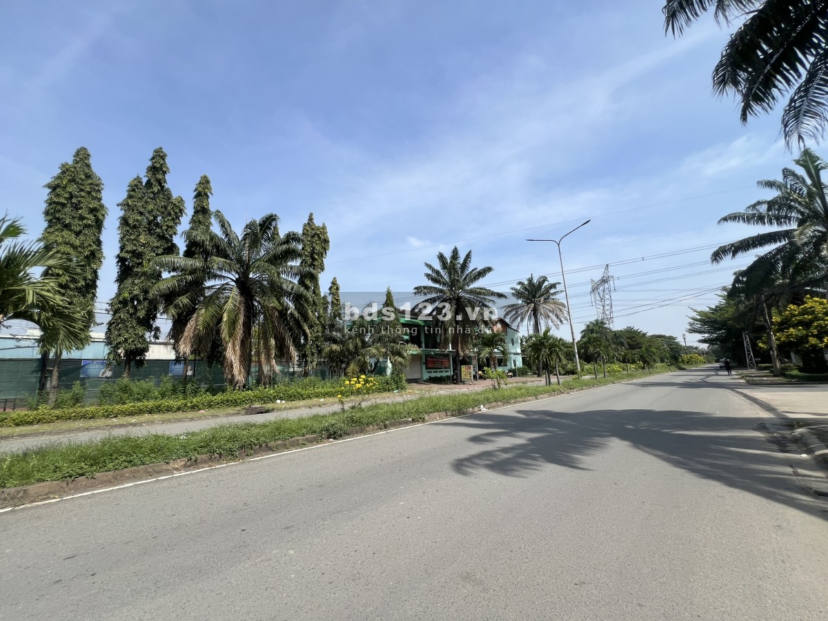 Cho thuê nhà xưởng 2200m² có sẵn tại KCN Tân Tạo - Chuẩn…
