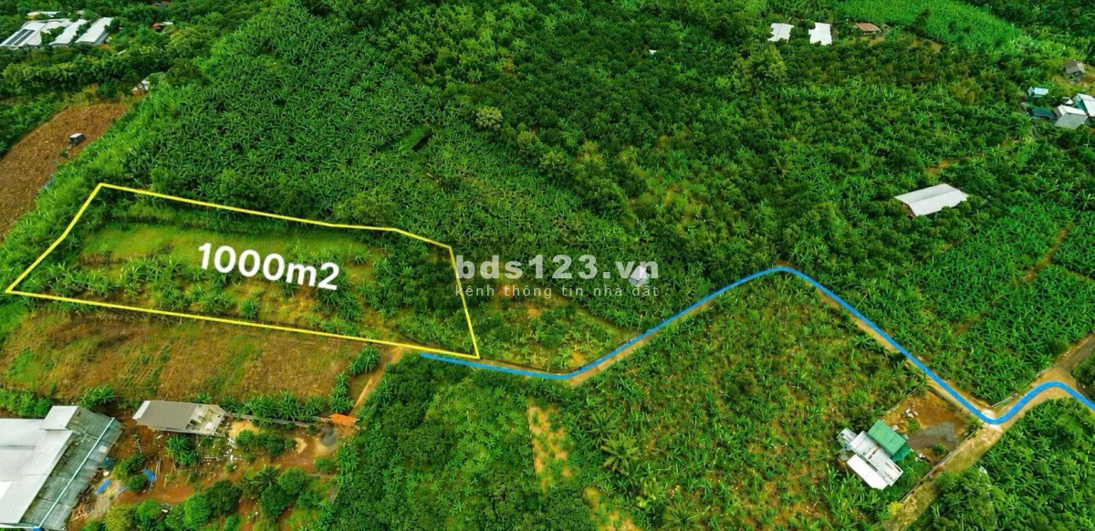 1.000m² đất vườn đẹp – Xã Gia Kiệm, Đồng Nai – Chỉ 900…