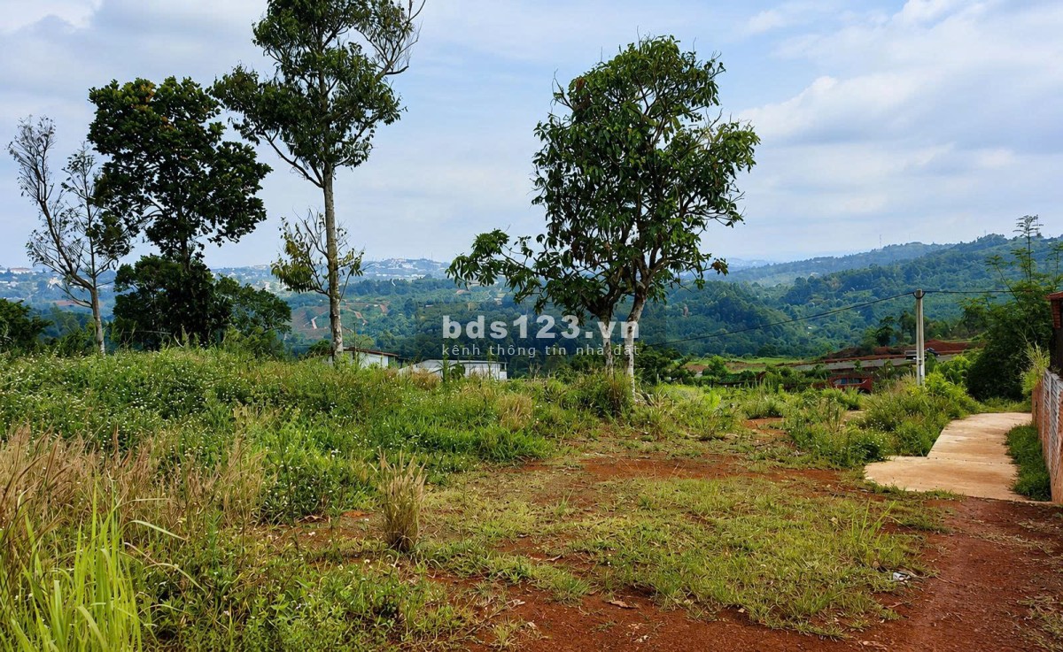 1.000m² đất vườn đẹp – Xã Gia Kiệm, Đồng Nai – Chỉ 900…