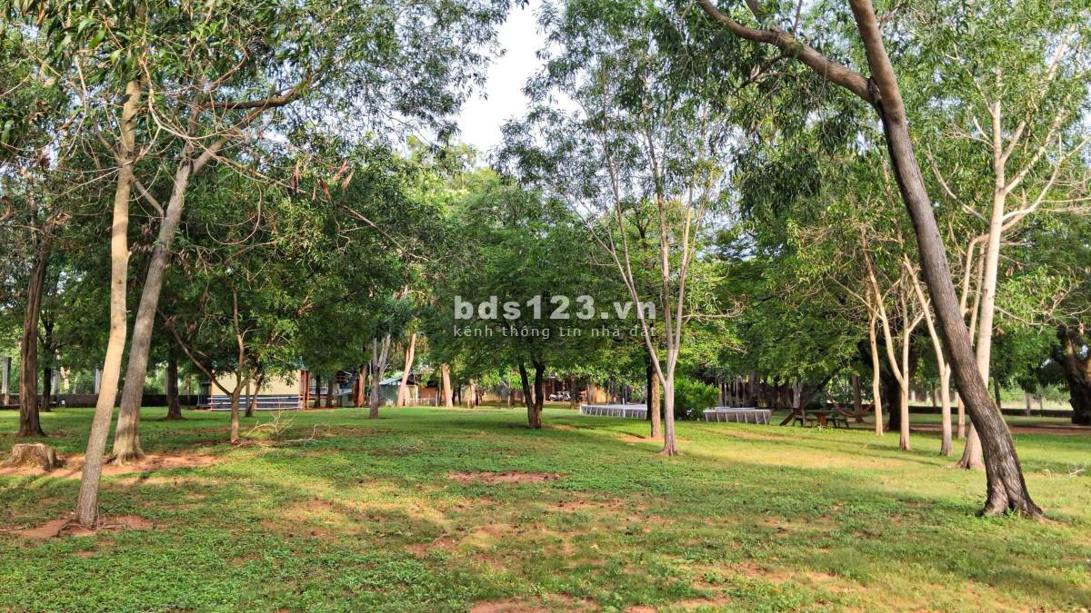 CHÍNH CHỦ CHUYỂN NHƯỢNG KHU ĐẤT ĐÃ ĐẦU TƯ HẠ TẦNG…