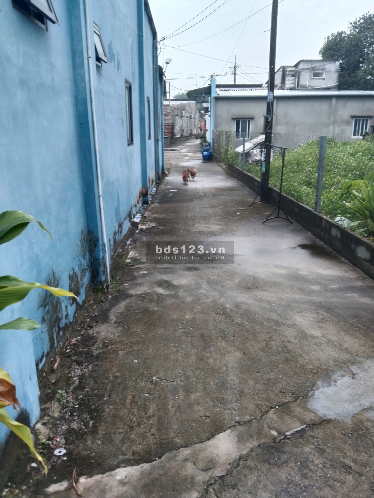 CHỈ 2 TỶ - CÓ NGAY NHÀ 2 TẦNG + VƯỜN TRÁI CÂY 160m² SÁT VÁCH…
