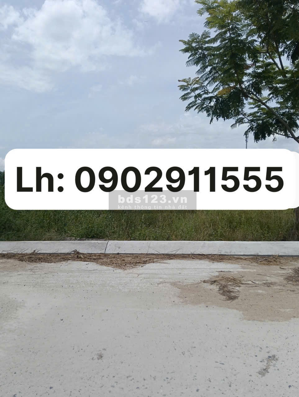  Đất nền tại Hữu Thạnh - Đức Hòa