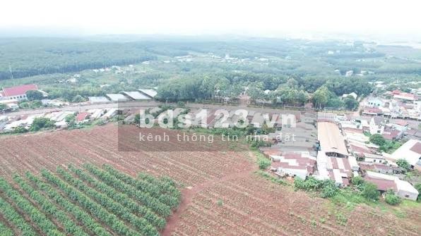 THÔNG BÁO ĐẤU GIÁ TÀI SẢN THỦ TỤC RÚT GỌN