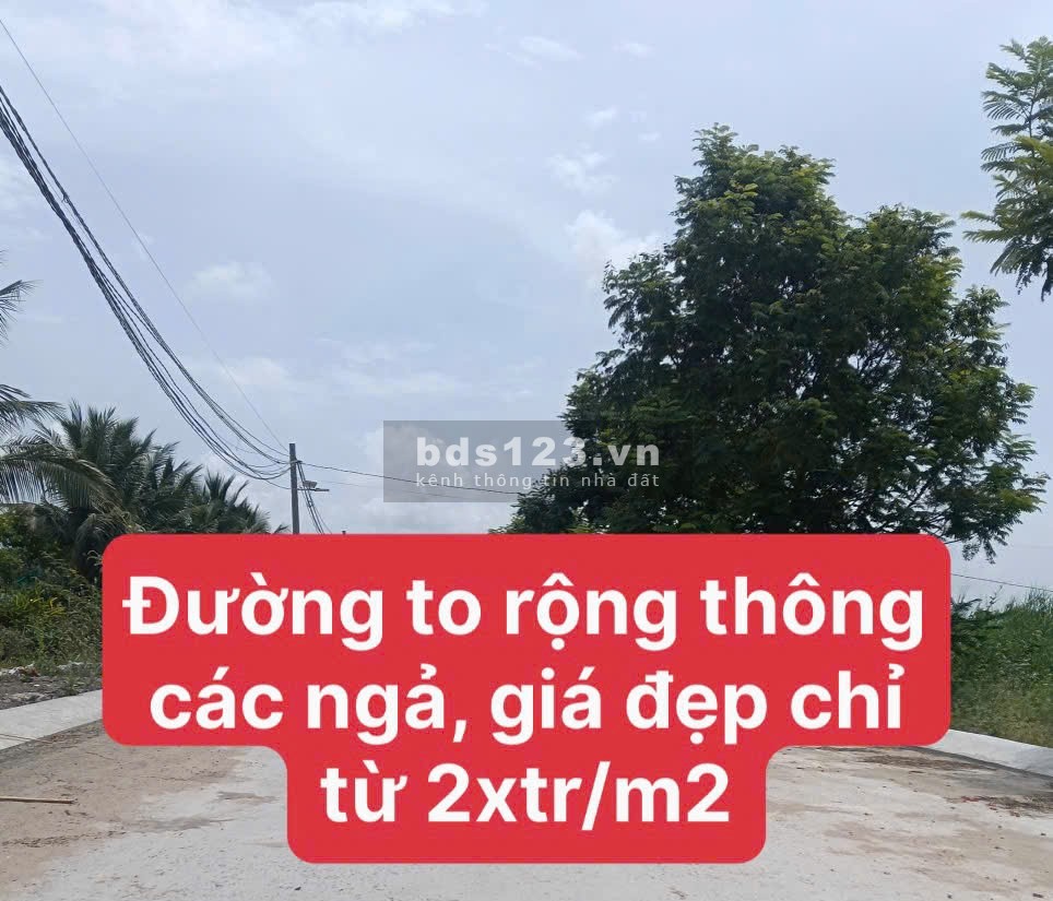 Bán ngay lô đất đẹp ở Hựu Thạnh 187m2 mà giá 4tyxx