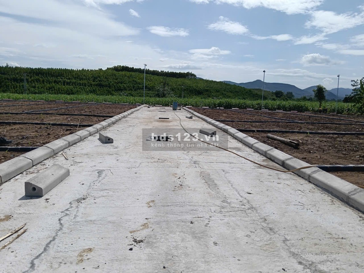 Bán đất Thành Mỹ 129m vuông phun thổ cư, sổ sẵn giá chỉ…