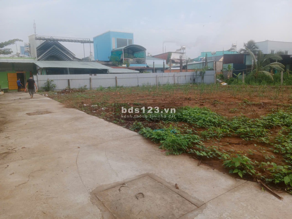  100M² FULL THỔ CƯ ẤP BẮC- P5 – CHỈ 1 TỶ 290TR, VỊ TRÍ…
