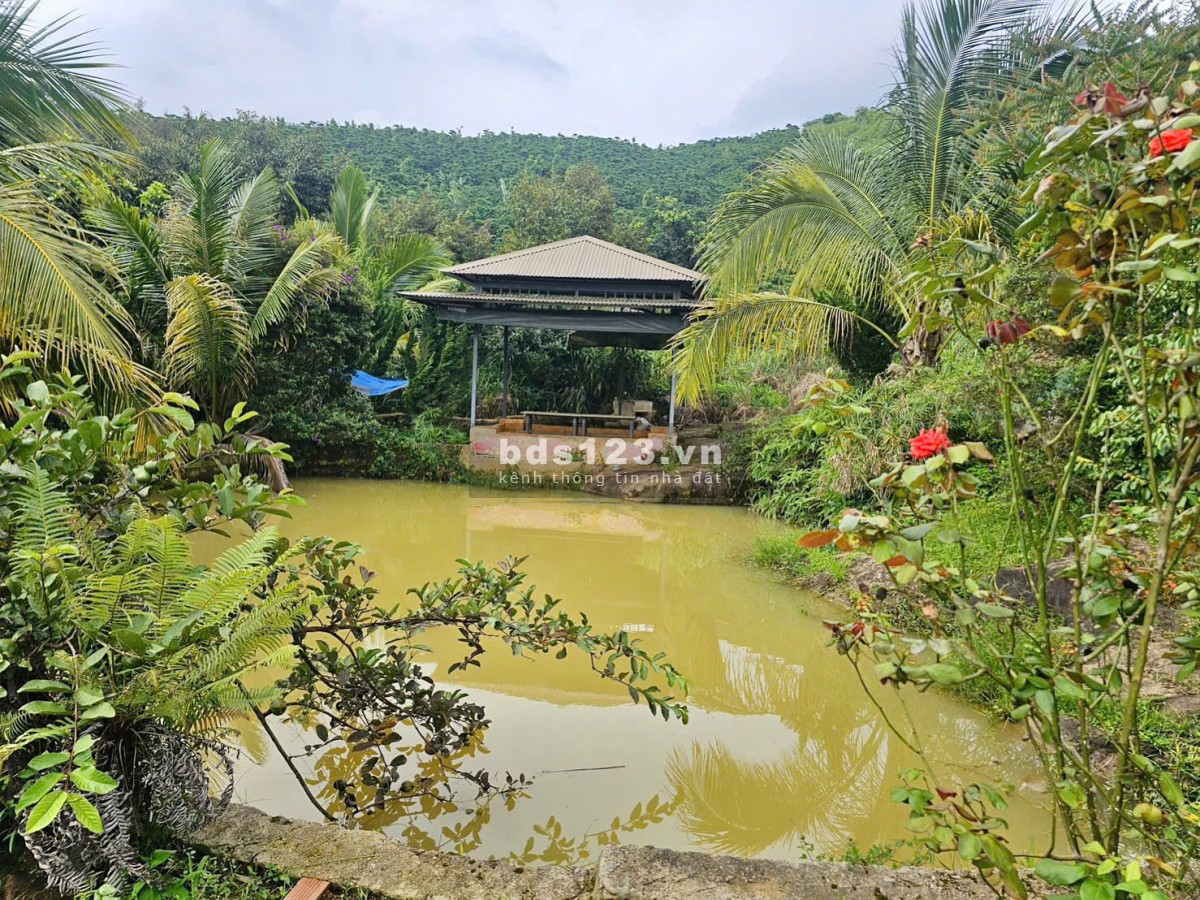GIÁ KHÓ TIN: 320 TRIỆU SỞ HỮU NGAY 1.000M² NHÀ VƯỜN THỔ CƯ,…