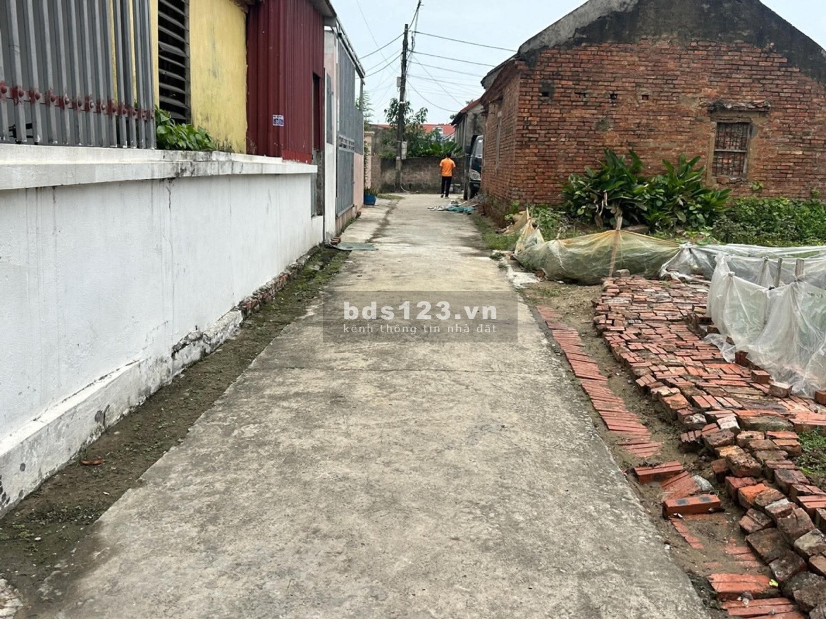 BÁN ĐẤT HÒA ĐAM – THƯỢNG HỒNG – MỸ HÀO