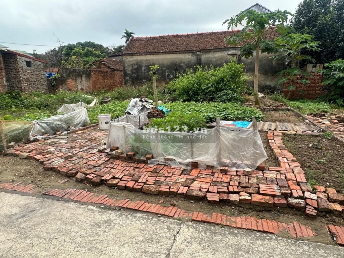 BÁN ĐẤT HÒA ĐAM – THƯỢNG HỒNG – MỸ HÀO