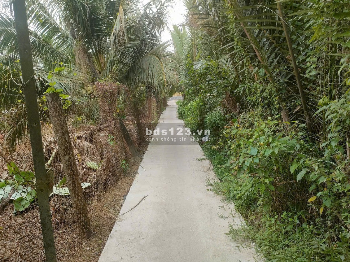 CHÍNH CHỦ BÁN ĐẤT VƯỜN – XÃ GIAO LONG, CHÂU THÀNH, BẾN TRE