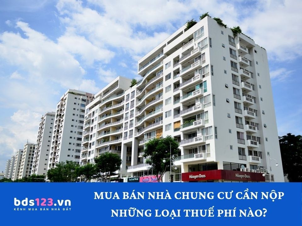 Mua bán nhà chung cư cần phải nộp những loại thuế phí nào?