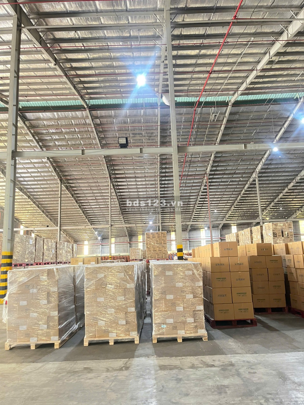 Toàn Nhất Logistics - Cho thuê kho KCN Sóng Thần - KCN Bình Chiểu