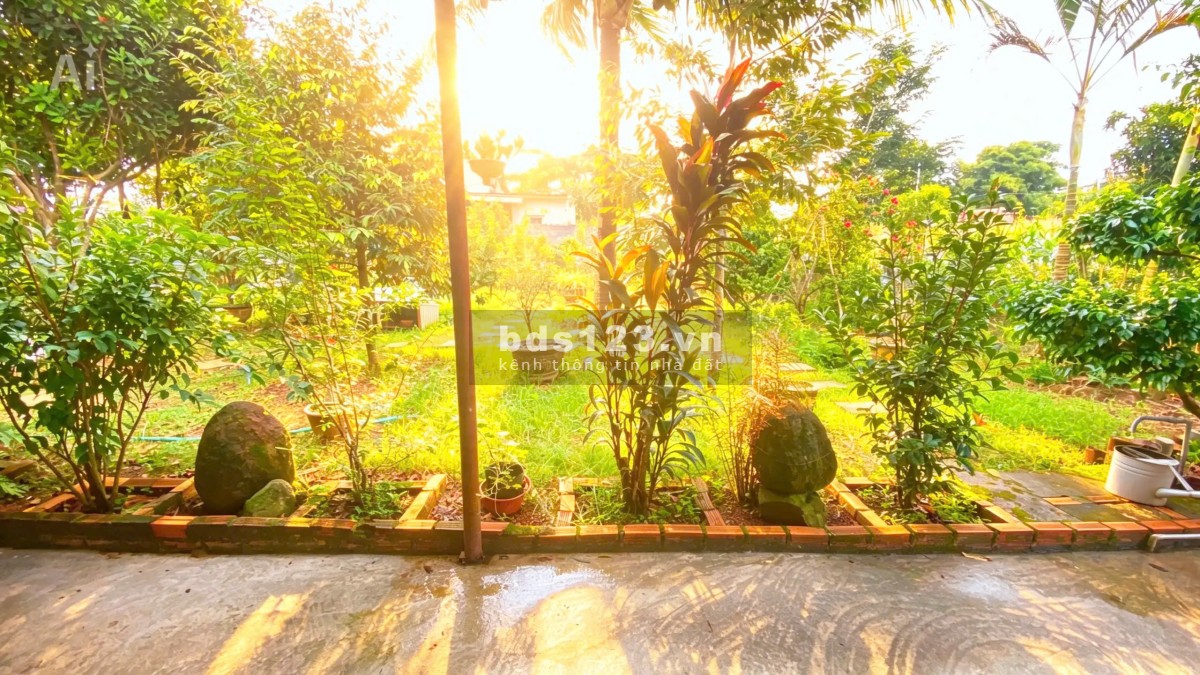 Nhà thuộc phú hội cũ - đức trọng / lâm đồng – khu dân cư