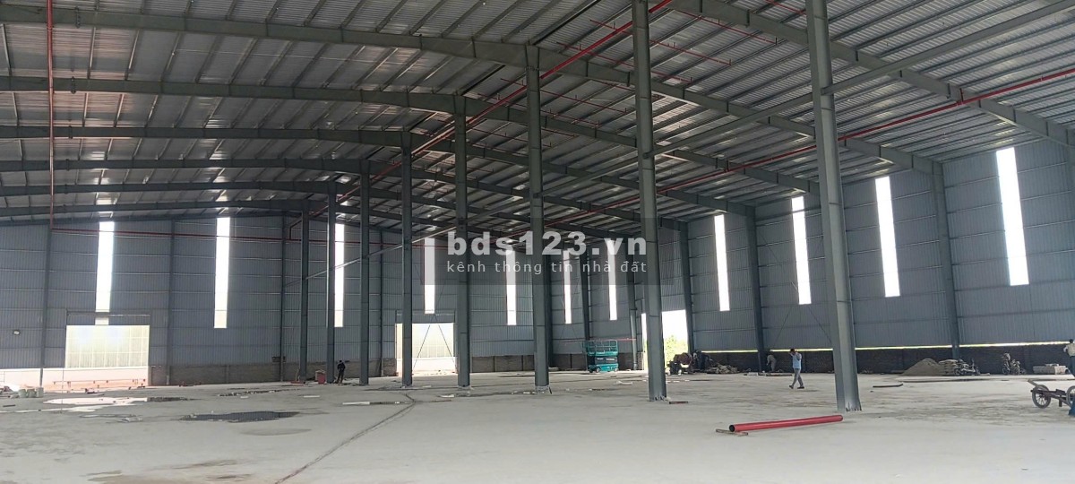 Cho thuê kho xưởng Dt 4200m2 Kim Thành Hải Phòng
