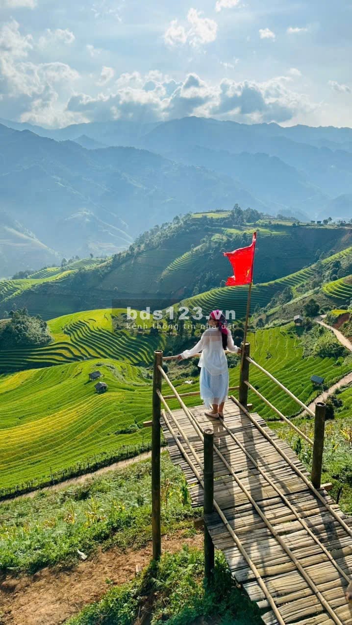 Nội dung tin đăng 123 Nội dung tin đăng 123 Nội dung tin đăng…